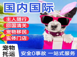 舟山航空物流国际宠物托运 【国